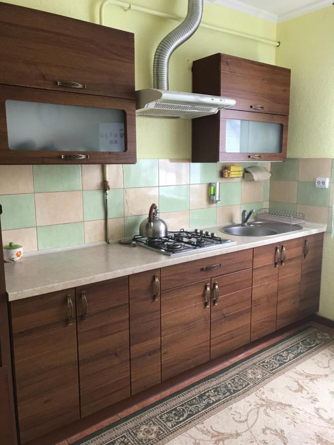 Skhidnytsia Ярдана 아파트 외부 사진